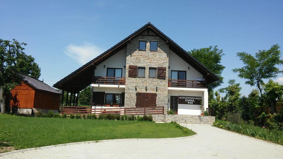 Agropensiunea Ioana Lisaura Exterior photo