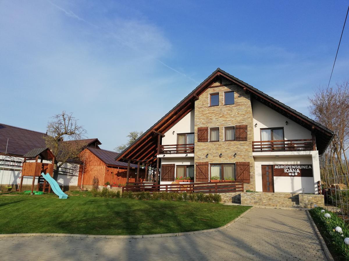 Agropensiunea Ioana Lisaura Exterior photo