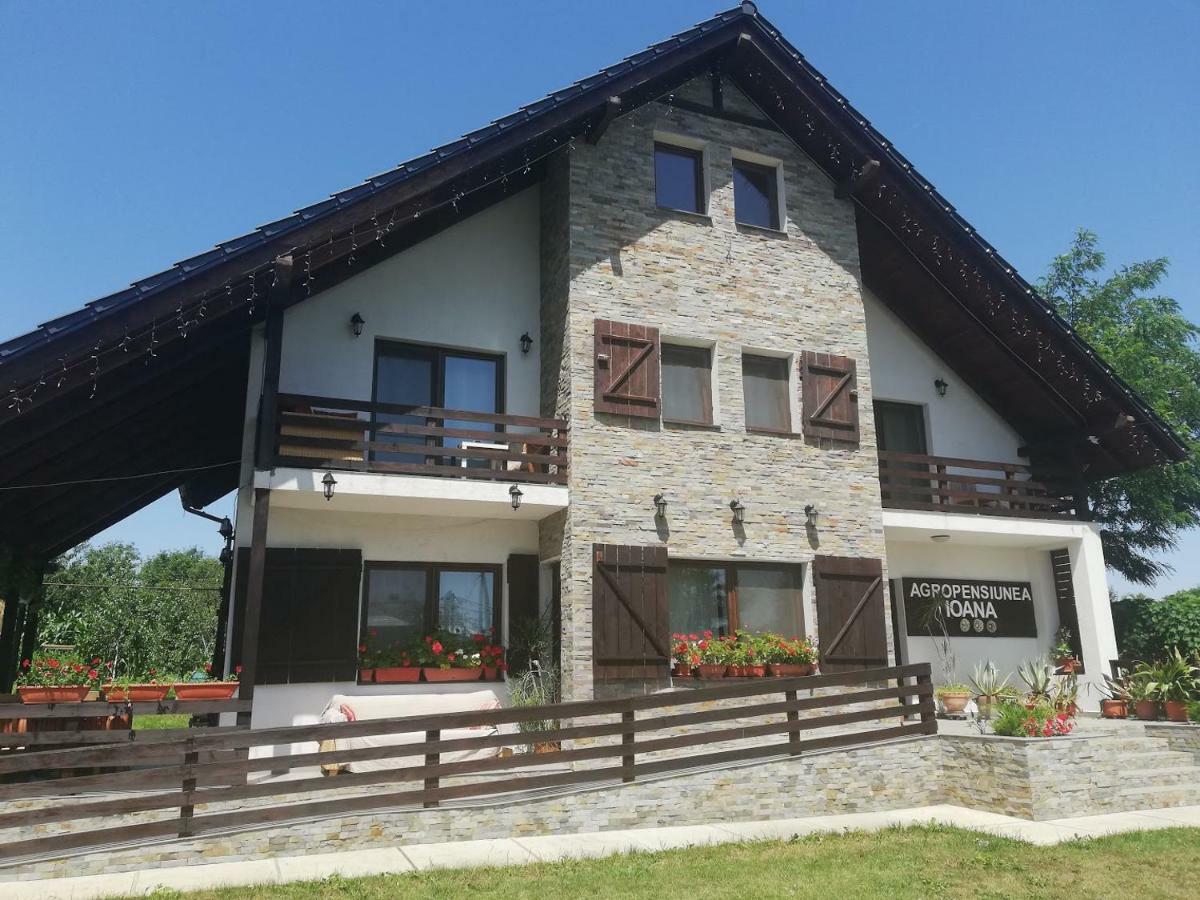 Agropensiunea Ioana Lisaura Exterior photo